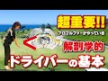 【スイングの基本】芯に当たりやすい「肩」の位置とは⁉️