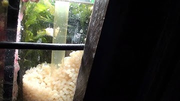 TLF bio pellets in TLF 150 reactor