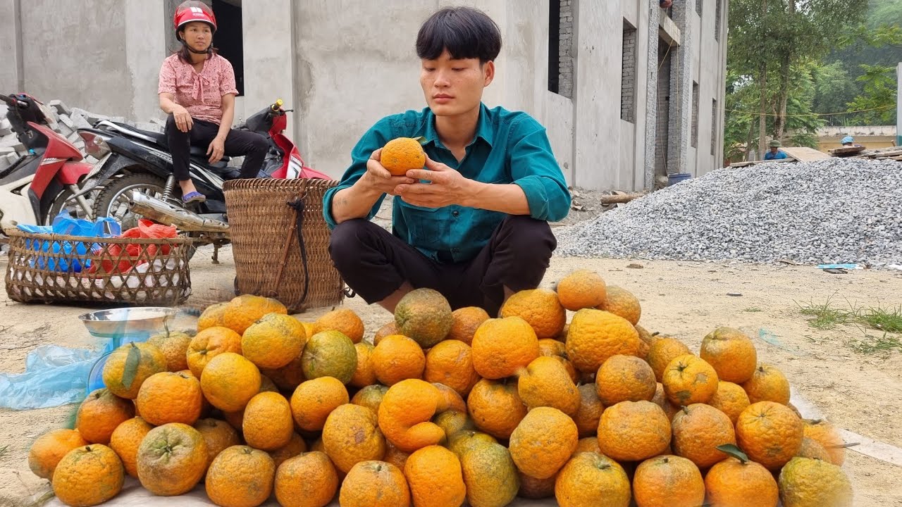 Harvest oranges, go to market, daily life, forest life