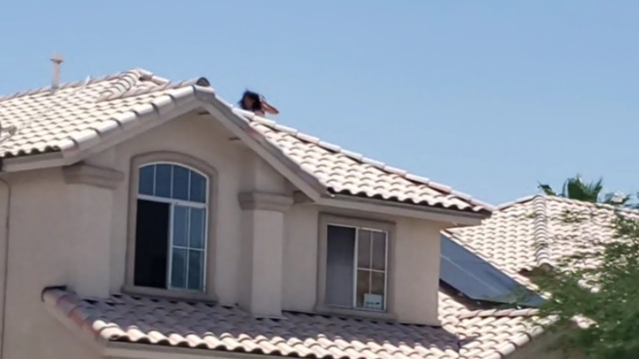 Live: Standoff MAN on ROOF, REFUSING TO COME DOWN - YouTube