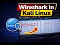 Wireshark in Kali Linux 🔥 Beginner Tutorial (Live Packet Capture) | in Tamil