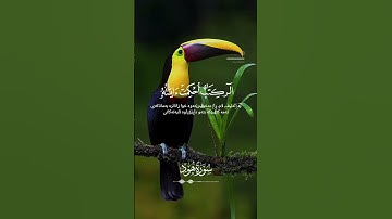 سورة هود #الله #لايك #دعاء #اذكار #العين #اكسبلور #ترند #استغفرالله #قرآن_كريم_راحة_نفسية #قران