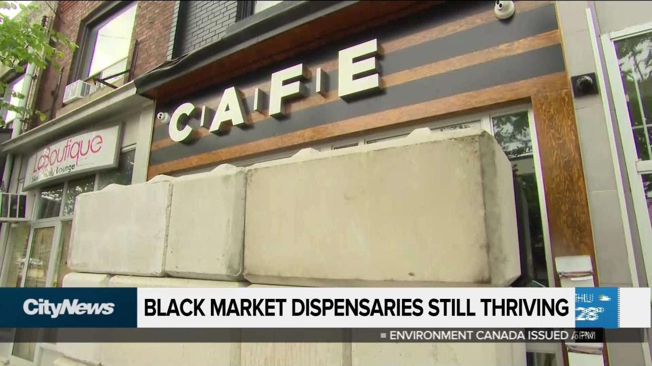 Pot black market thriving since marijuana legalization