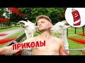 ЗАСМЕЯЛСЯ - ПОДПИСАЛСЯ! | FUNNY MOMENTS 2023 | 624 СЕКУНДЫ СМЕХА! | #350