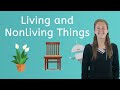 Living and Non-Living Things Quiz
