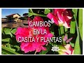 Platica en el campo como va la casita y las plantitas 