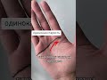 Хиромантия онлайн, для записи на консультацию пишите в ТГК put_osoznan #хиромантия