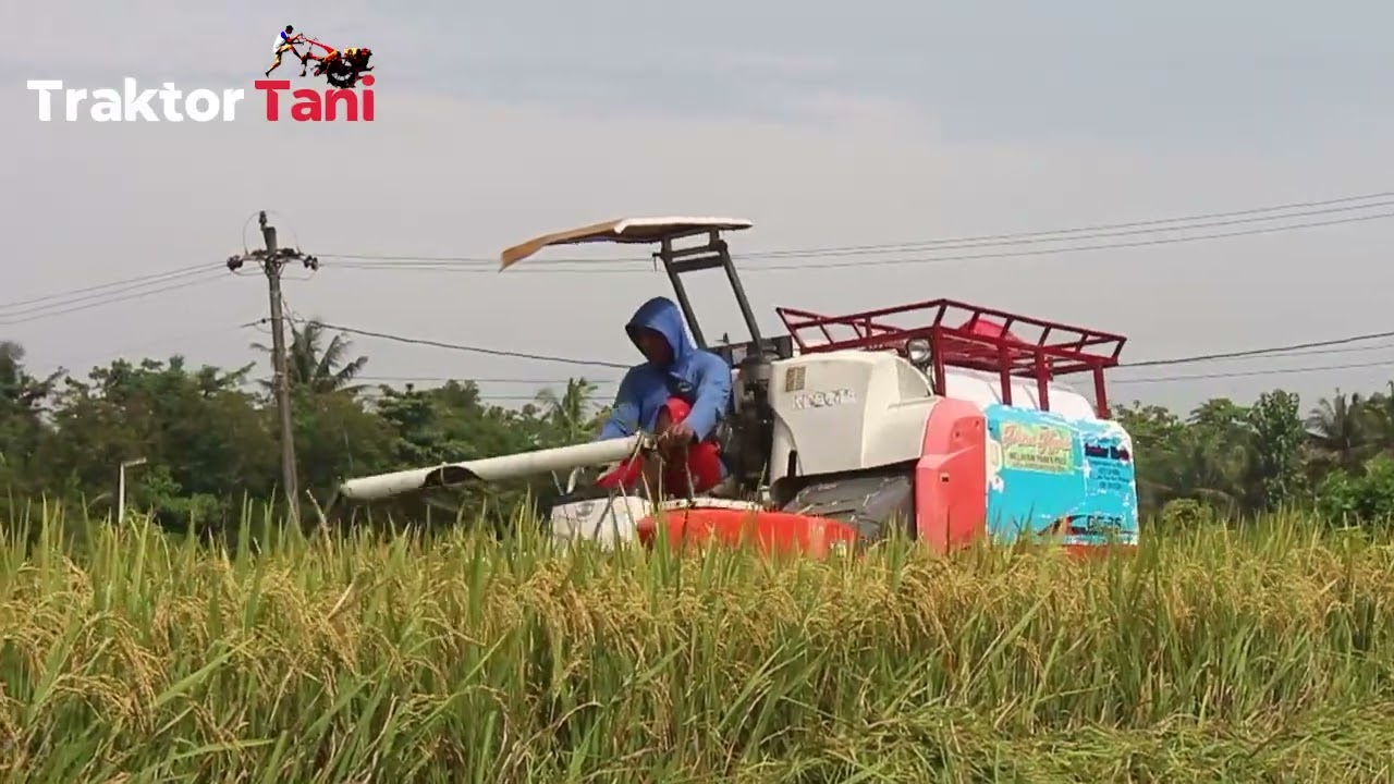 Mesin Panen Padi KUBOTA DC 35 - Kubota Mini Harvester  - Kubota Machine