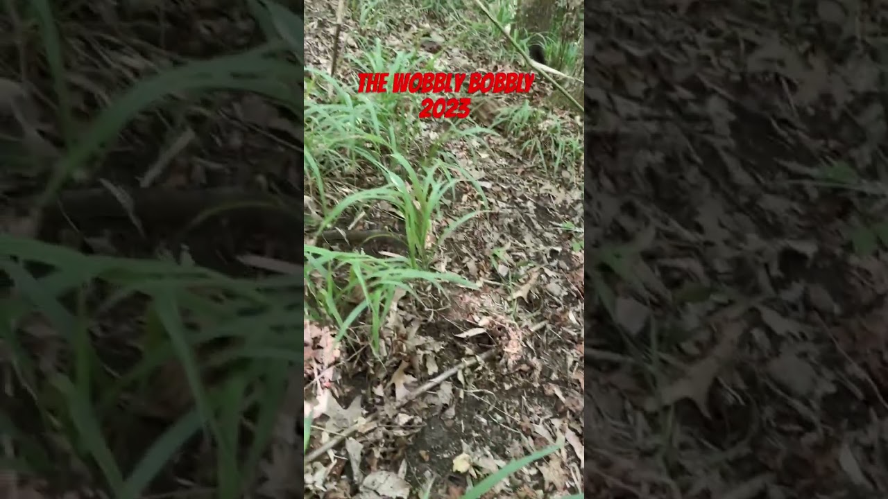 Abandon railroad part 3!   (The Wobbly Bobbly￼)   