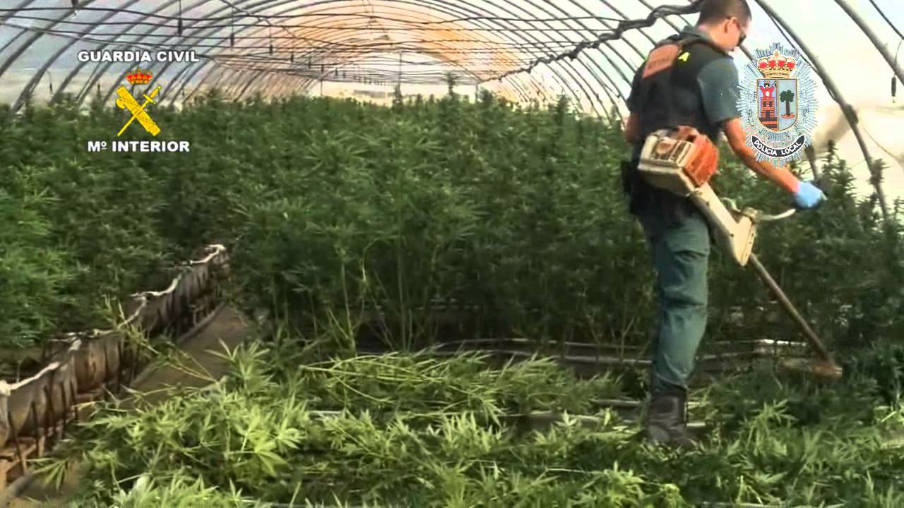 Operación Puerto Rubio. Operaciones de la Guardia Civil. Murcia, Puerto Lumbreras.