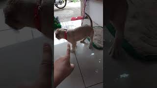 Download Lagu December 29, 2025 MP3