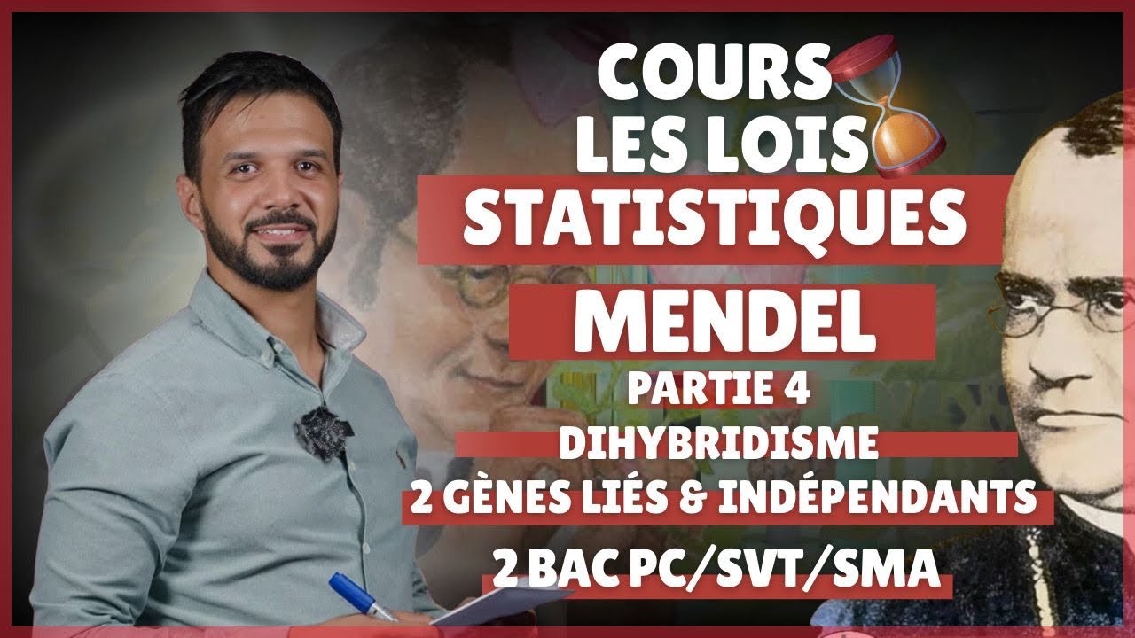 Génétique 🧬 les lois statistiques : Dihybridisme cours Complet 