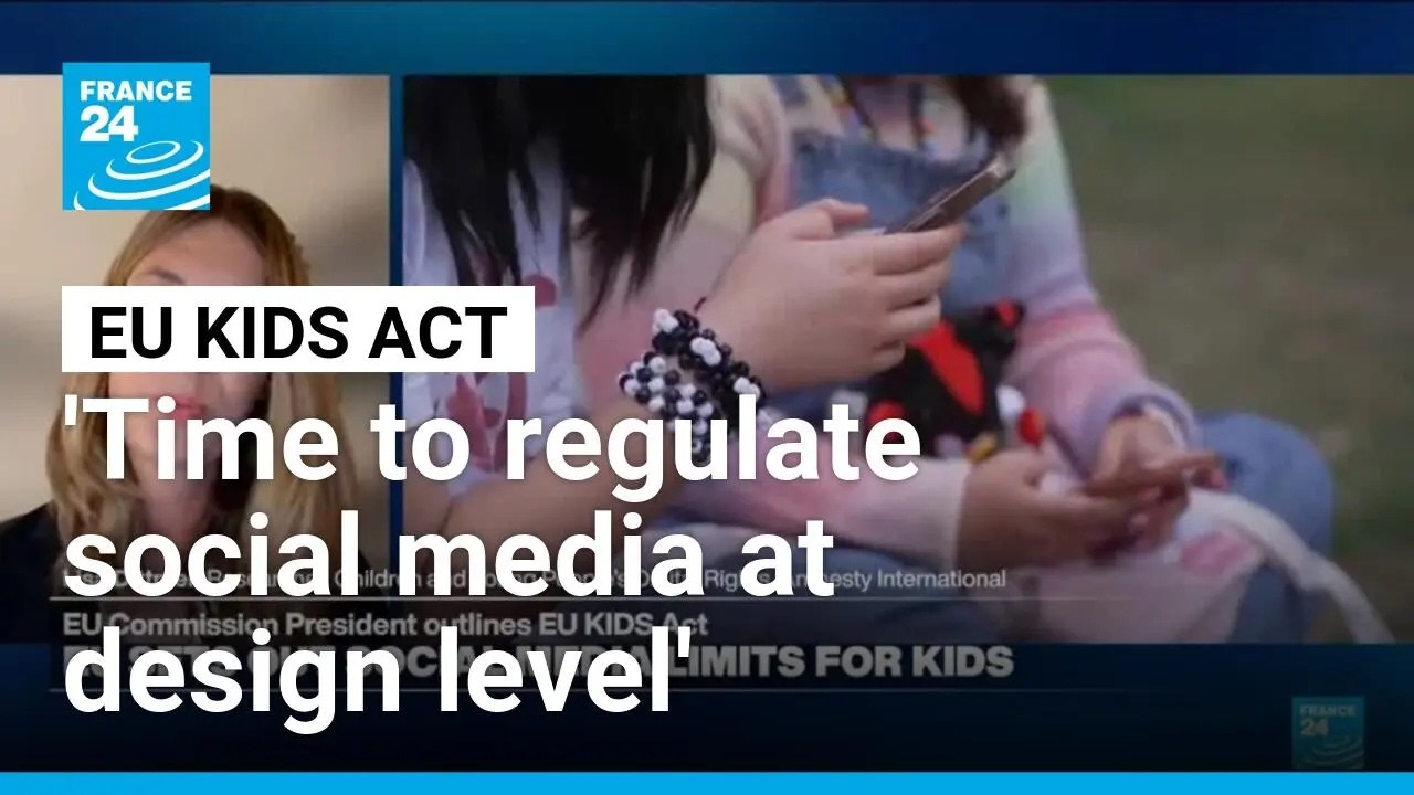 'The harms have come to outweigh the benefits' of social media, researcher says • FRANCE 24