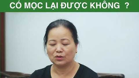 Dầu gội Amla ngăn rụng tóc kích thích mọc tóc