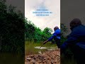 Inkiya nkiya YesiZiba #idlozi #viralshorts #youtubeshorts