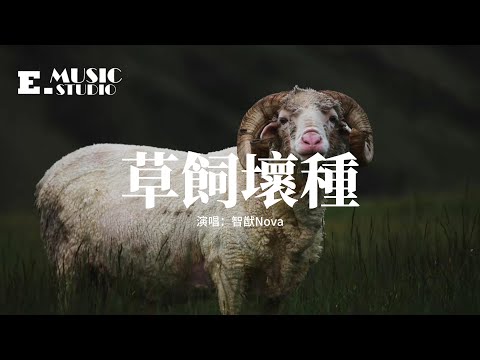 智猷Nova 草飼壞種 燒掉一片叢林 留下輪廓 動嘴的誘惑 羊群向右向左 操控領頭成佛 方法很多 畫成摩羯進塔羅 動態歌詞MV