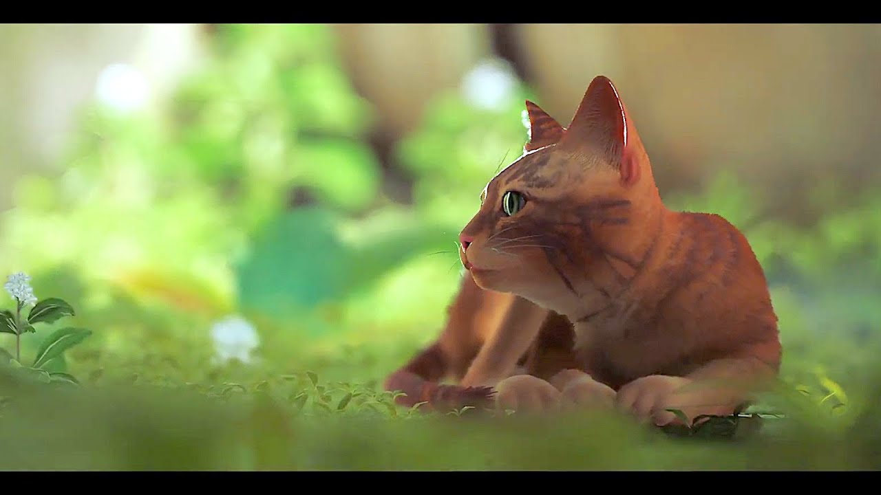 Stray Game All Cutscenes Movie