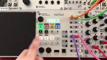 Entering Notes into the Squarp Instruments Hermod Sequencer