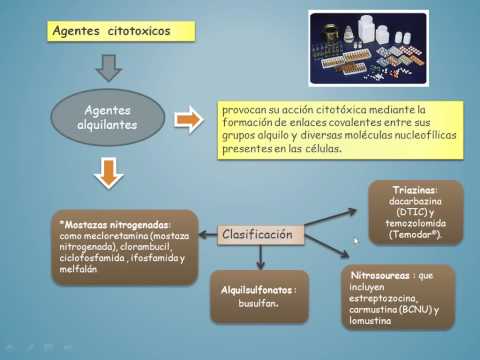 cancer farmacologia