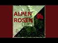 Alpenrosen