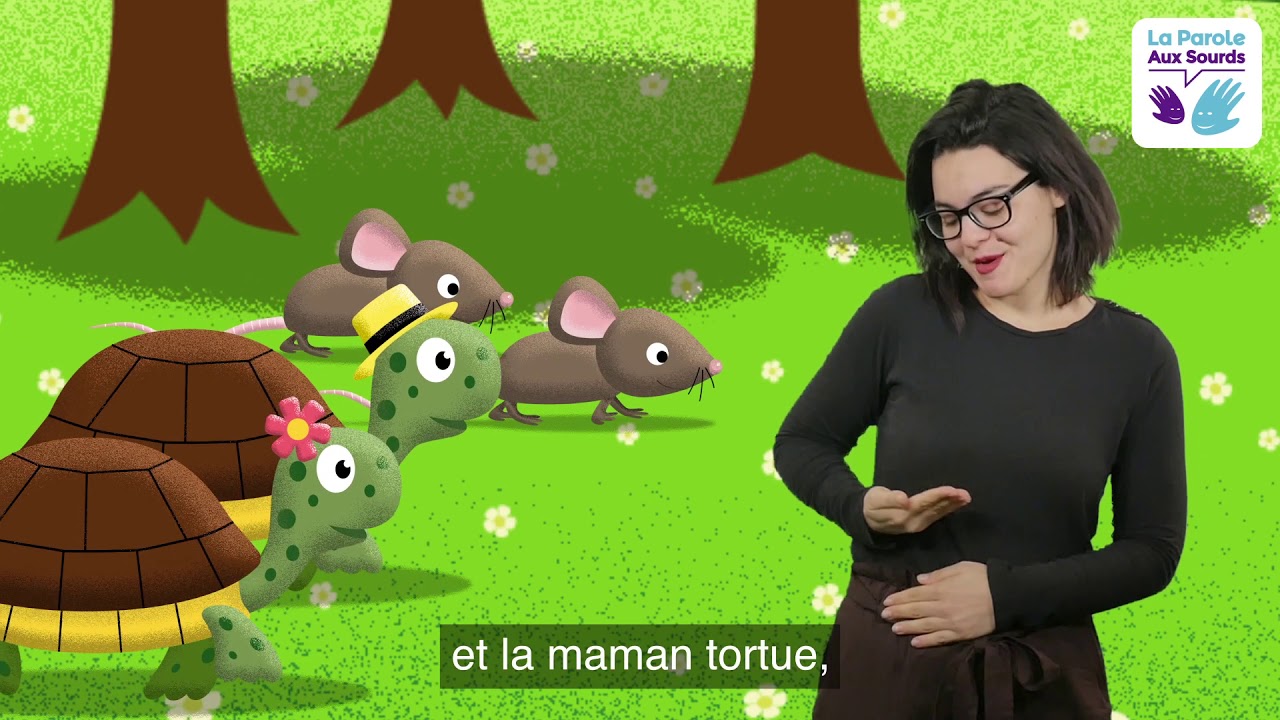 Comptine la famille tortue - YouTube