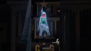 Johnathan Pizza Delivery Guy Christmas Lights 2.