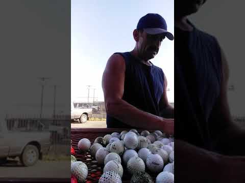 cleaning-golf-balls-the-correct-way.-no-scrubbing