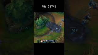 목숨을 건 숨바꼭질  #롤 #리그오브레전드 #leagueoflegends #shorts #럭스