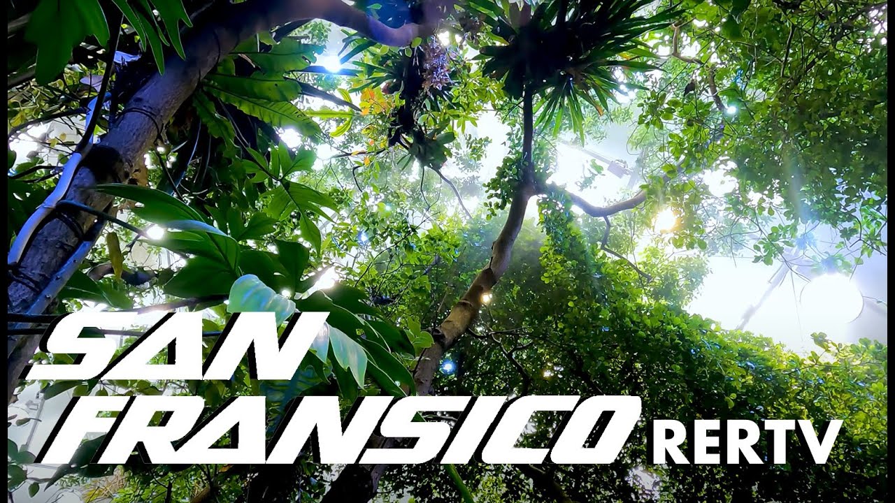 San Francisco's Indoor Rainforest 🇺🇸  | 4K UHD First Person Butterfly Walking Tour