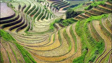 تلاوات مؤثره ماجد الزامل