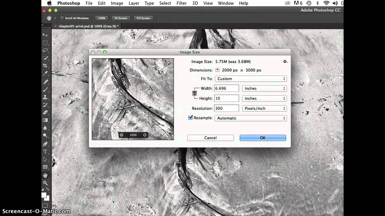 Screencast 5-2 The Image Size Dialog in Adobe PS Creative Cloud - YouTube