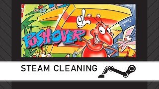 Steam Cleaning - Pushover