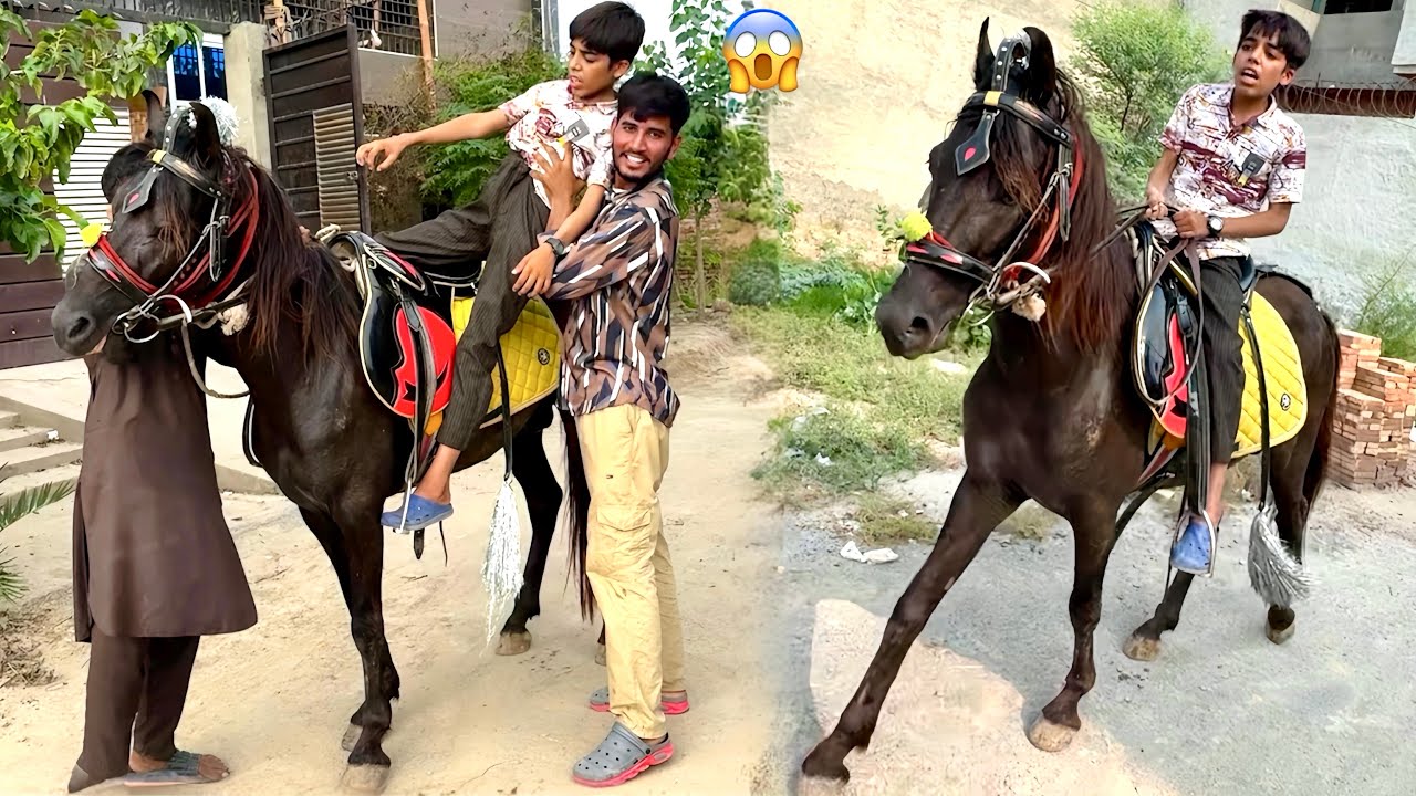 ARSLAN KO AJ HORSE RIDING KRAVAI 😍 ARSLAN RONY LG GYA 🥹