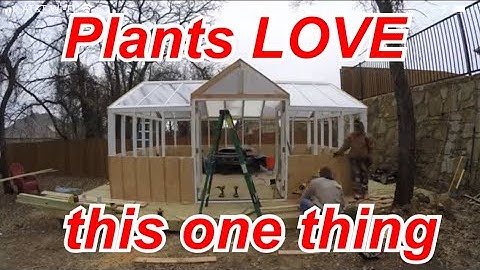 DIY Greenhouse Pt. 3 - Let