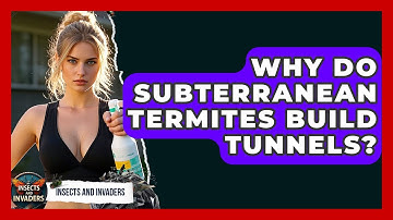 Why Do Subterranean Termites Build Tunnels? - Insects and Invaders