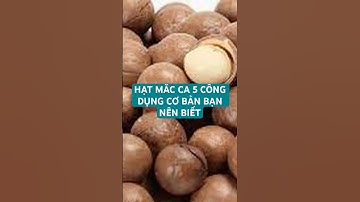 HẠT MẮC CA 5 CÔNG DỤNG CƠ BẢN BẠN NÊN BIẾT