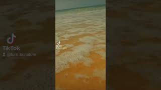 waves  travel all nature beach europe tourist island automobile korea dji