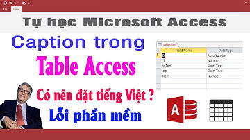 Tạo caption cho cột của Table trong Access | Lý do không đặt tên cột bằng tiếng việt | NT Software