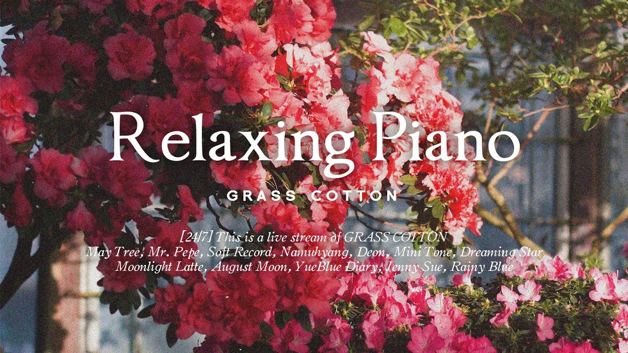 247 A relaxing and calm piano song that will soothe your tired mind l GRASS COTTON