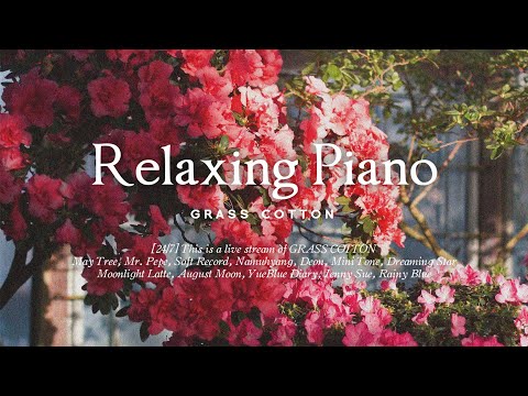 Видео: [24/7] Расслабляющая и спокойная фортепианная песня, которая успокоит ваш уставший разум GRASSCOTTON