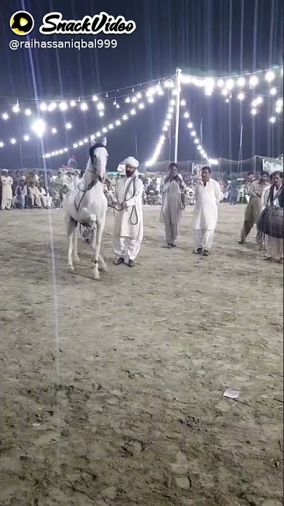MSF KASUR