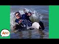 Gettin' DOCKED By the FAIL! 😅 | Funny Fails | AFV 2020