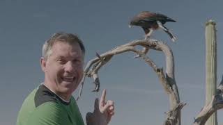 Happy Birthday, Chris Kratt!