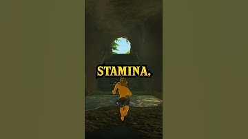 This Breath of the Wild Secret Is So Crazy! #botw #shorts