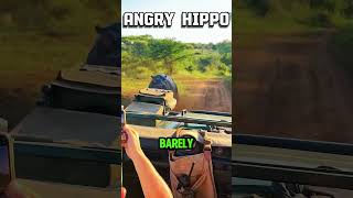 Worst Zoo Animal Attacks Caught On Camera