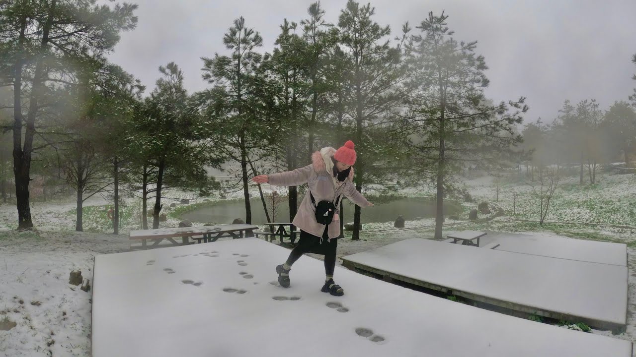 《👣⛺️徒步露營》台中和平/福壽山露營區-（上）感謝又感動的意外首次雪露❄️/森林系-2°c的雪地小屋🥶🏕️