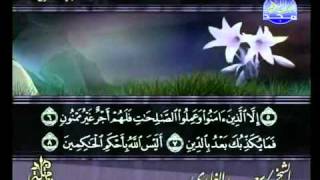 من سوره البلد الى سوره البينه الشيخ سعد الغامدي
