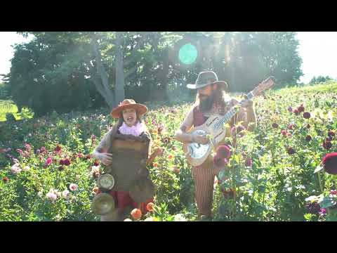 The Vaudevillian - Walk Right In