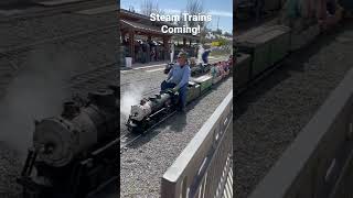 Steam Train 18Th Size Hobby Hunter Park Riverside Ca