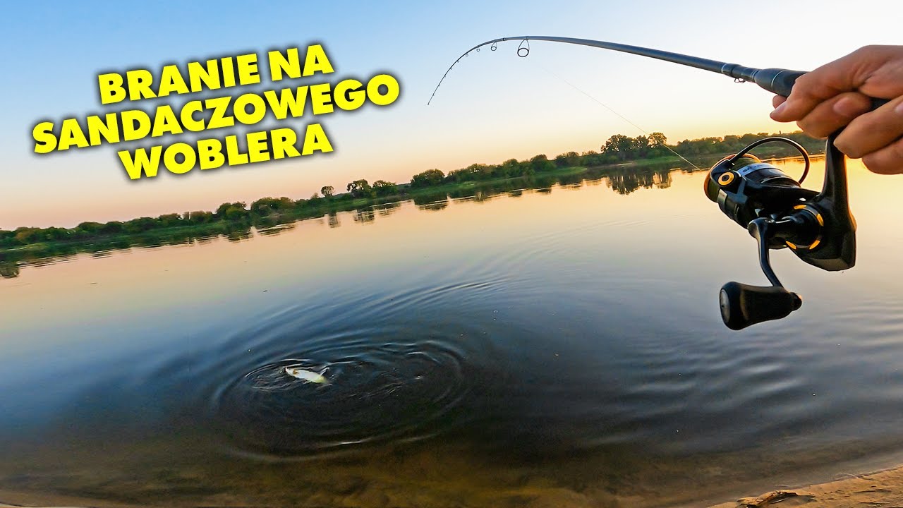 Jakie jest branie ryb 5